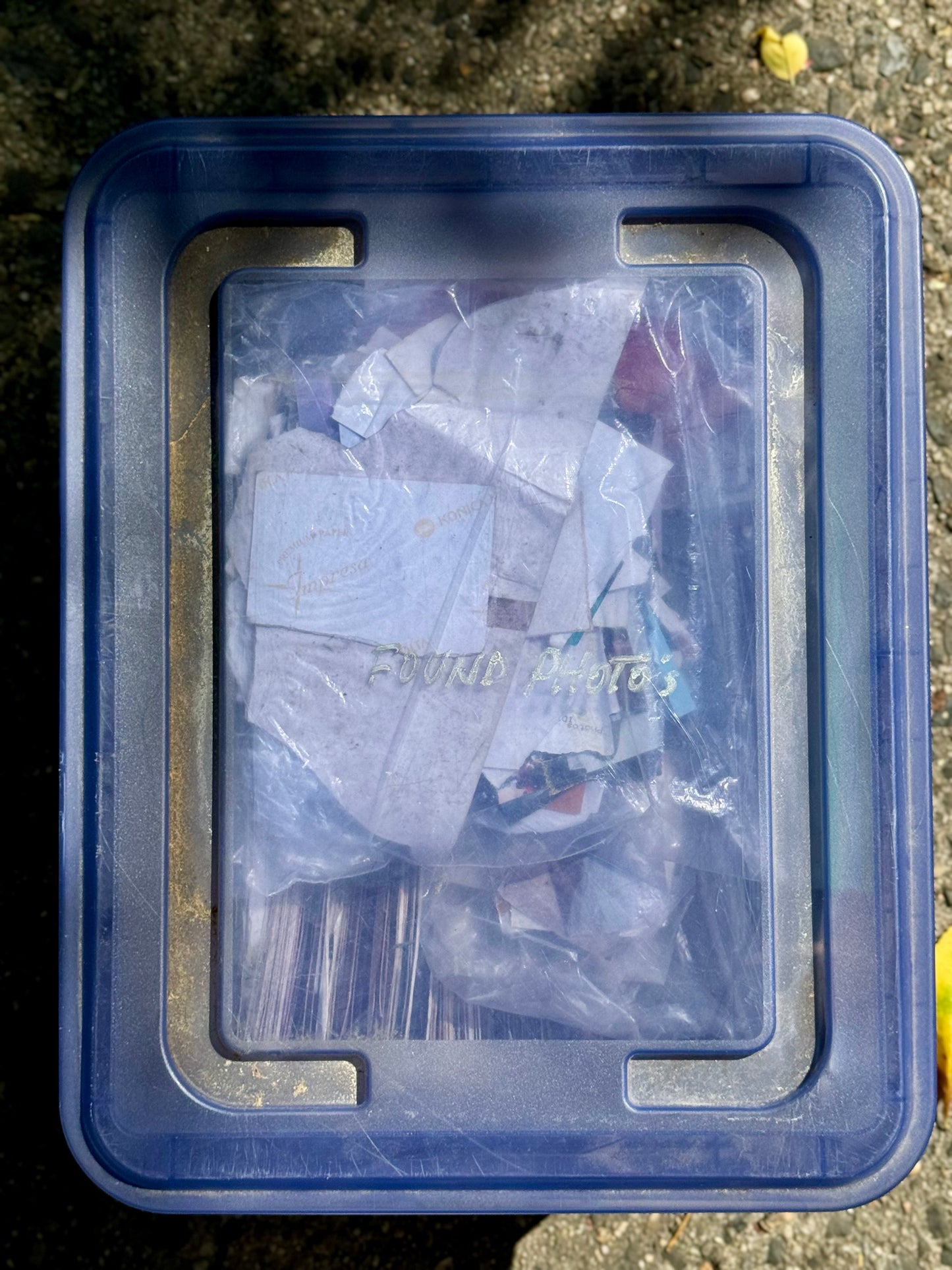 Bobby Puleo - Found Photography 1998 - 2024